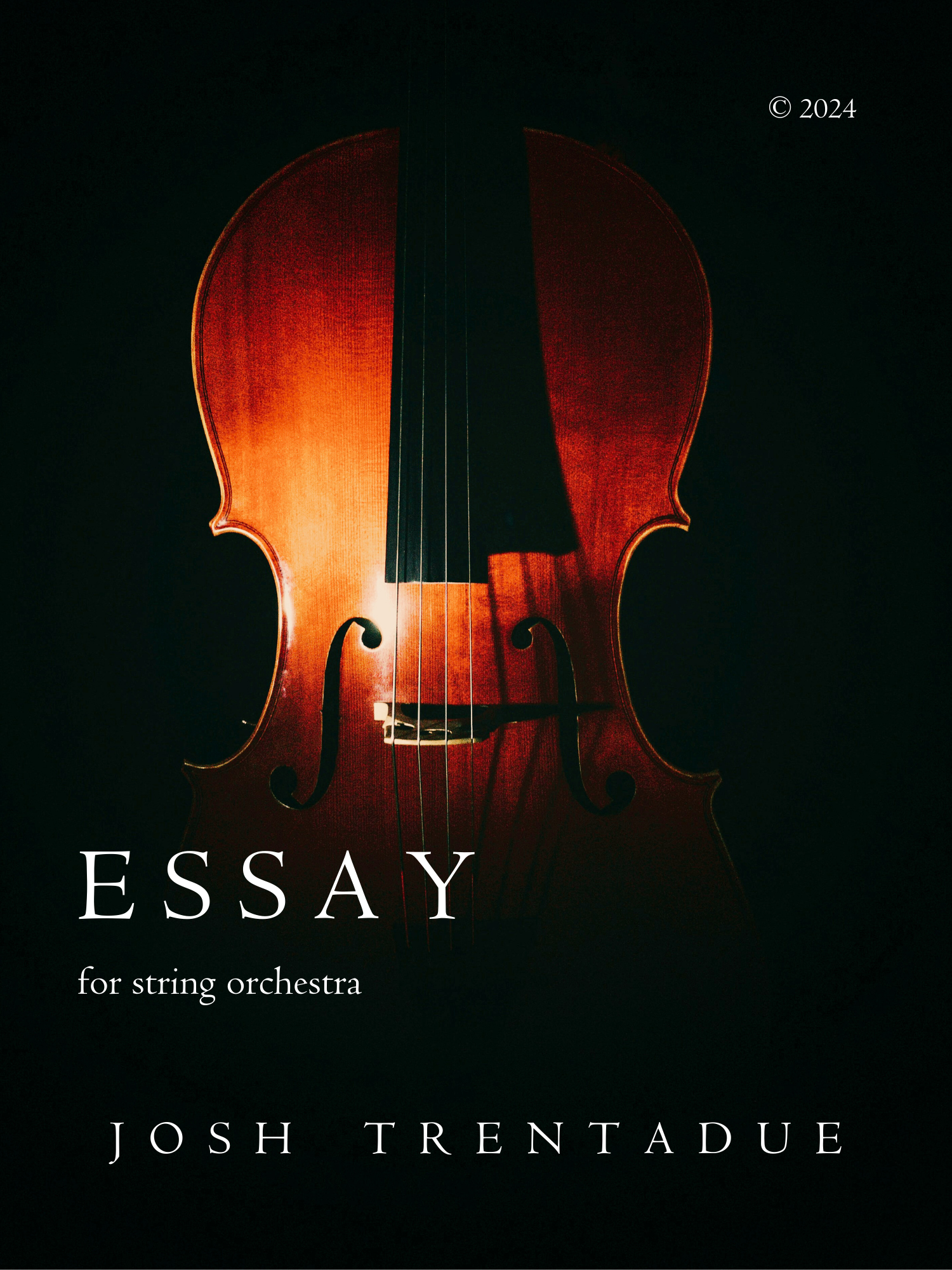 Essay