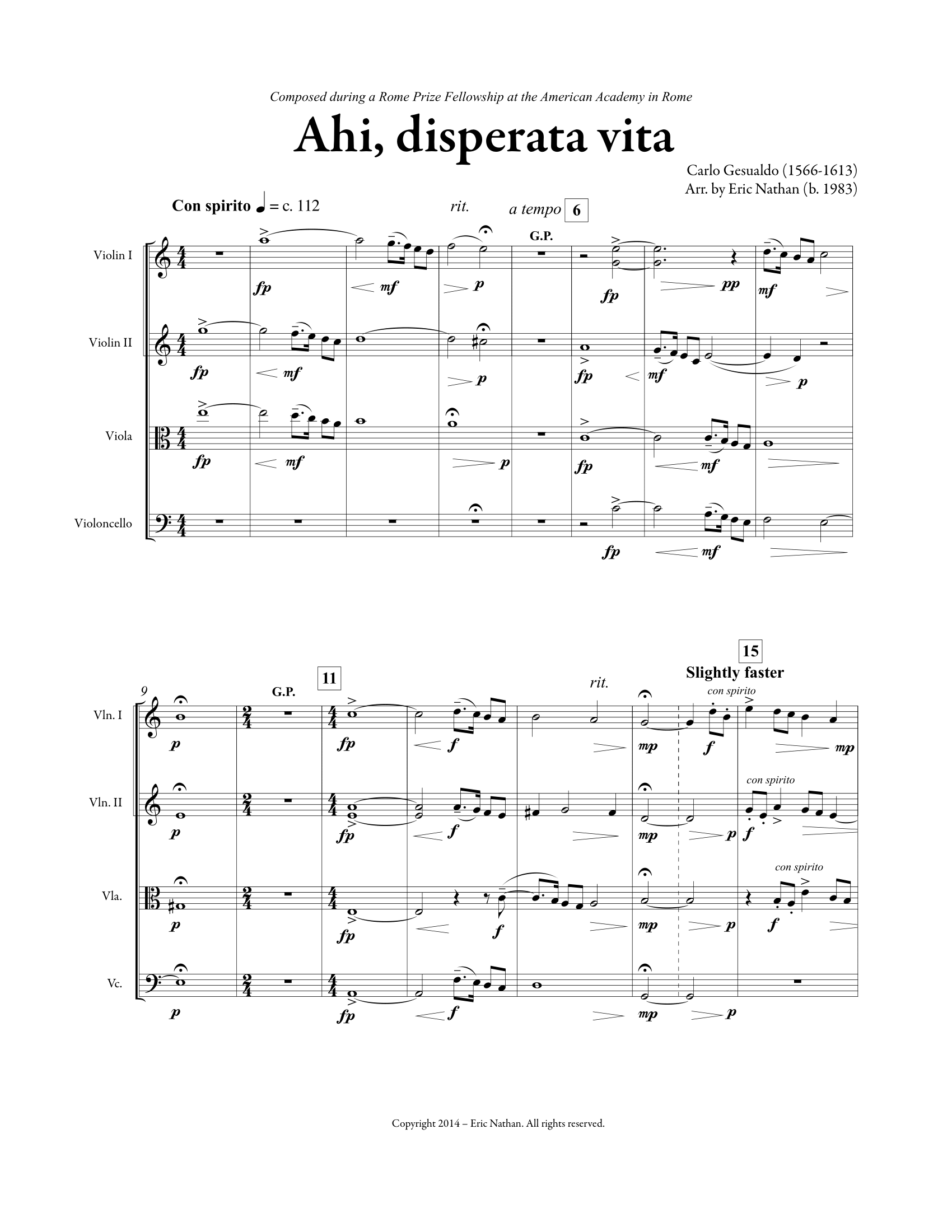 Ahi Disperata Vita